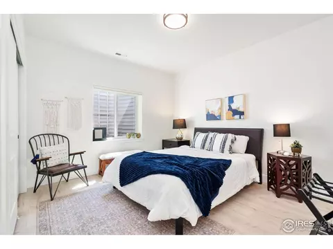 261 Cornelia Dr, Windsor, CO 80550 photo 28