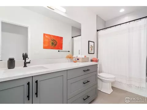 261 Cornelia Dr, Windsor, CO 80550 photo 30