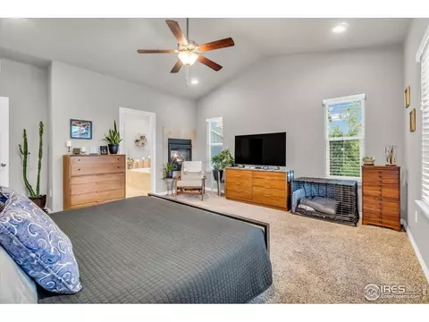 5584 Chantry Dr, Windsor, CO 80550 photo 13