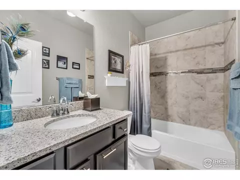 5584 Chantry Dr, Windsor, CO 80550 photo 19