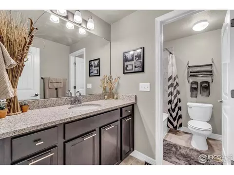 5584 Chantry Dr, Windsor, CO 80550 photo 25