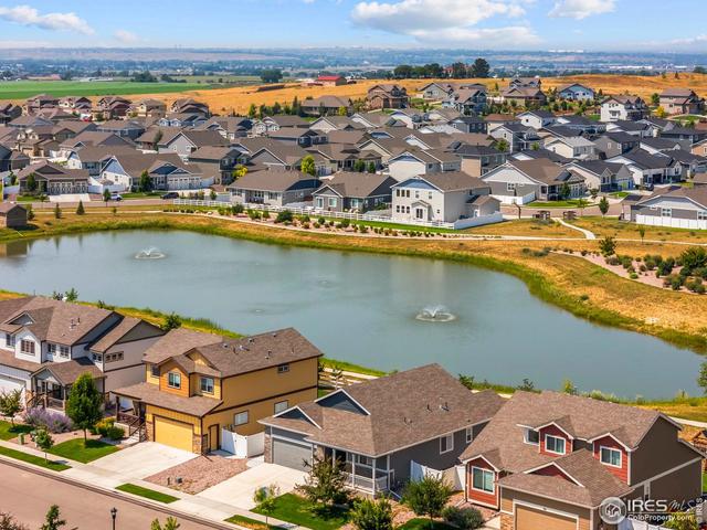 923 Barasingha St, Severance, CO 80550