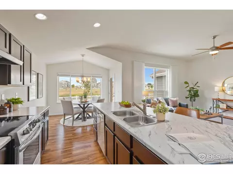 923 Barasingha St, Severance, CO 80550 photo 13