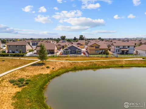 923 Barasingha St, Severance, CO 80550 photo 35