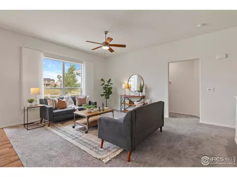 923 Barasingha St, Severance, CO 80550 photo 9