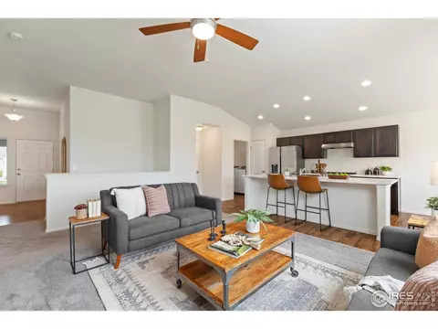 923 Barasingha St, Severance, CO 80550 photo 7