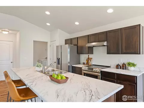 923 Barasingha St, Severance, CO 80550 photo 11