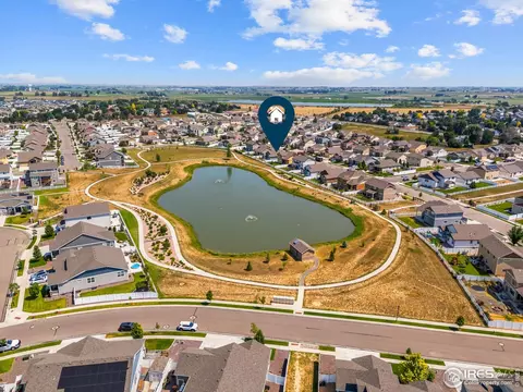 923 Barasingha St, Severance, CO 80550 photo 38