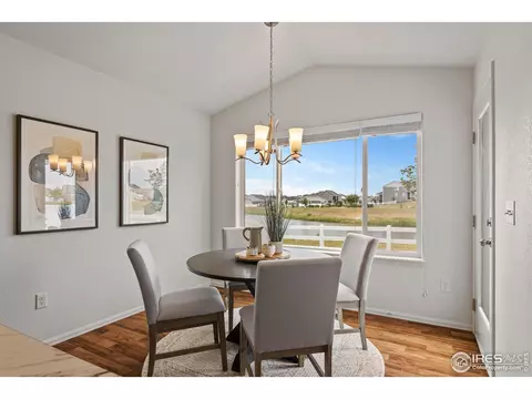 923 Barasingha St, Severance, CO 80550 photo 14