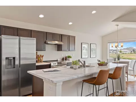 923 Barasingha St, Severance, CO 80550 photo 12