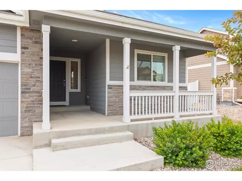 923 Barasingha St, Severance, CO 80550 photo 3