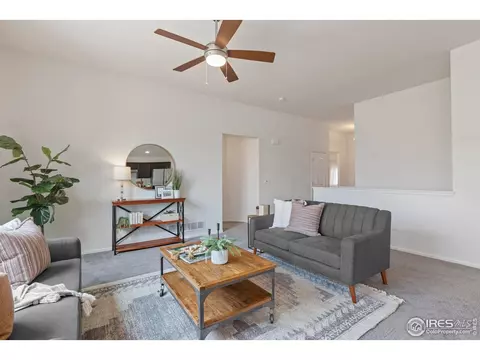 923 Barasingha St, Severance, CO 80550 photo 8