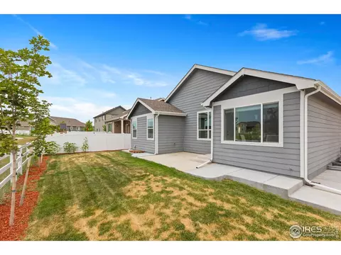 923 Barasingha St, Severance, CO 80550 photo 28