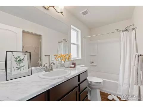 923 Barasingha St, Severance, CO 80550 photo 20