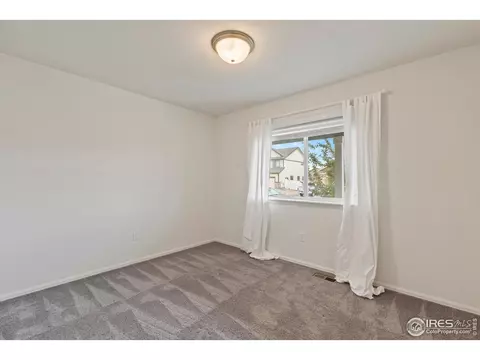 923 Barasingha St, Severance, CO 80550 photo 23