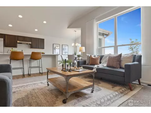 923 Barasingha St, Severance, CO 80550 photo 6