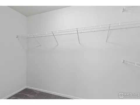 923 Barasingha St, Severance, CO 80550 photo 21