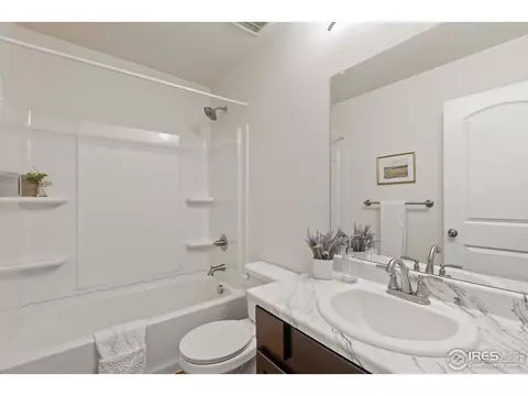 923 Barasingha St, Severance, CO 80550 photo 24