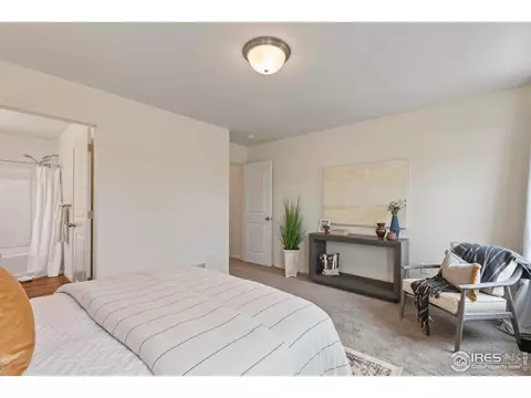 923 Barasingha St, Severance, CO 80550 photo 19