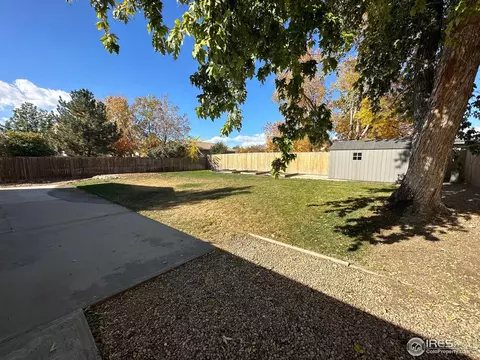 1118 Walnut St, Windsor, CO 80550 photo 33