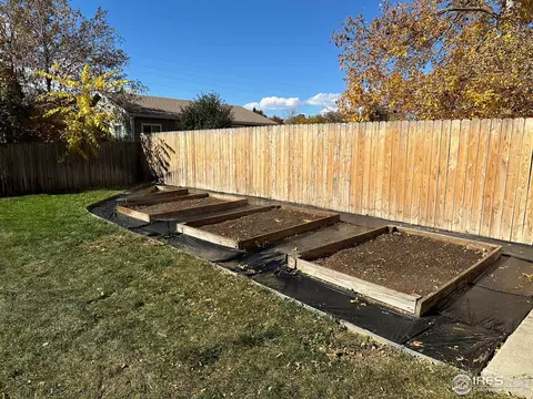 1118 Walnut St, Windsor, CO 80550 photo 34