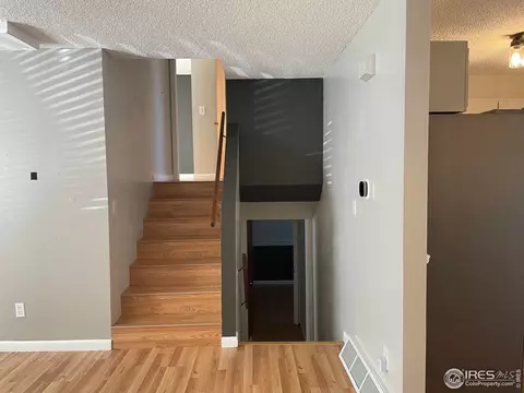 1118 Walnut St, Windsor, CO 80550 photo 6