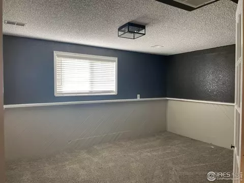 1118 Walnut St, Windsor, CO 80550 photo 19