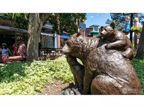 836 Walnut St #D, Boulder, CO 80302 photo 38