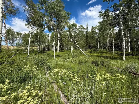 0 Dewclaw Rd, Red Feather Lakes, CO 80545
