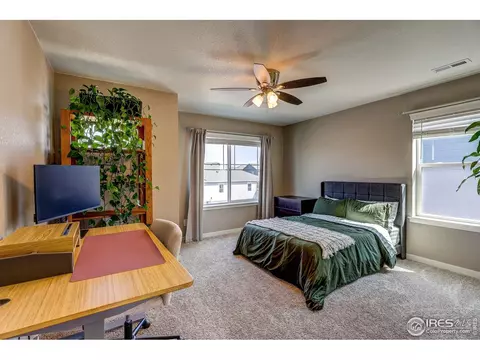 1335 Copeland Falls Rd, Windsor, CO 80550 photo 19