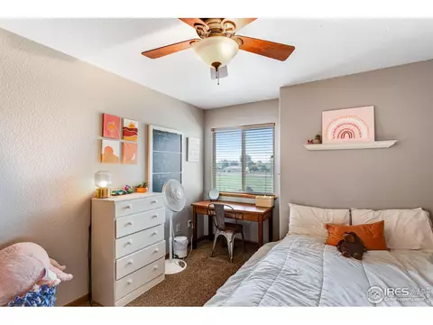 780 Durum St, Windsor, CO 80550 photo 21