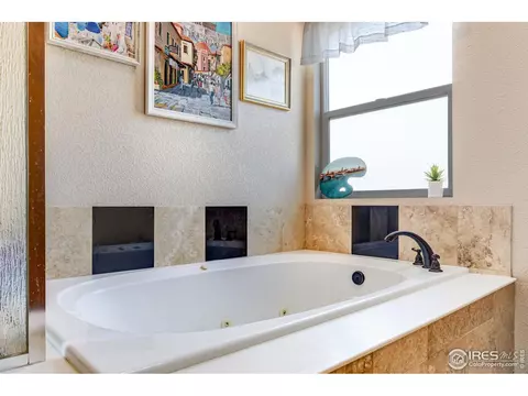 780 Durum St, Windsor, CO 80550 photo 20