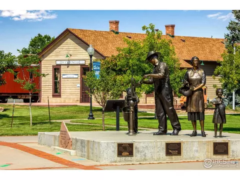 780 Durum St, Windsor, CO 80550 photo 36