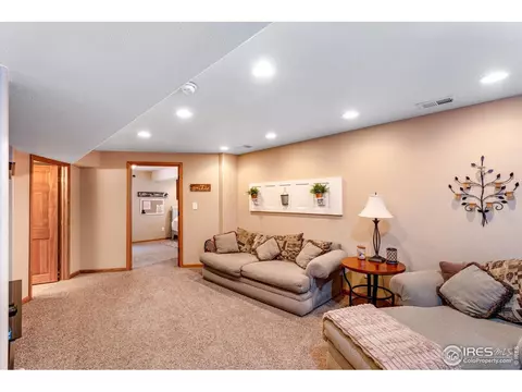 780 Durum St, Windsor, CO 80550 photo 24
