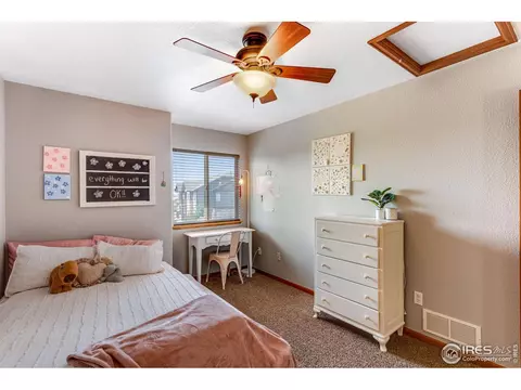 780 Durum St, Windsor, CO 80550 photo 22