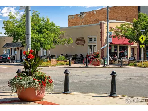 780 Durum St, Windsor, CO 80550 photo 34