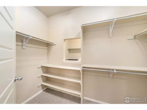 2136 Longfin Dr, Windsor, CO 80550 photo 25