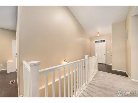 2136 Longfin Dr, Windsor, CO 80550 photo 4