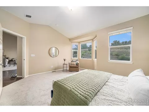 2136 Longfin Dr, Windsor, CO 80550 photo 22