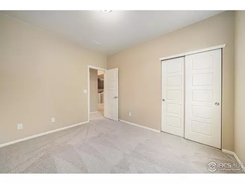 2136 Longfin Dr, Windsor, CO 80550 photo 9