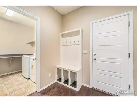 2136 Longfin Dr, Windsor, CO 80550 photo 19