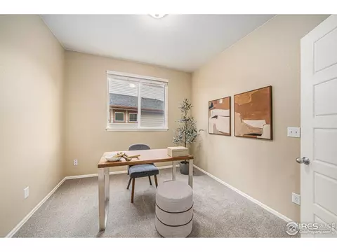 2136 Longfin Dr, Windsor, CO 80550 photo 6