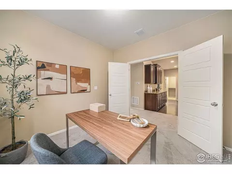 2136 Longfin Dr, Windsor, CO 80550 photo 7