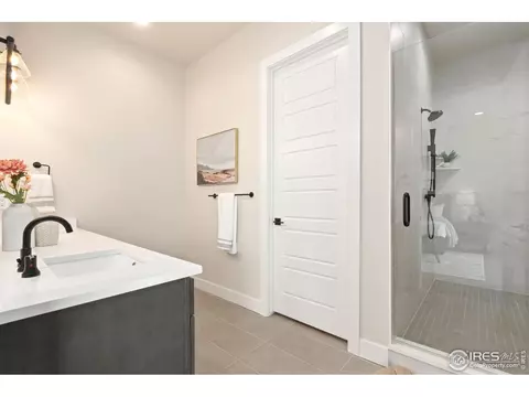 1729 Beachside Dr, Windsor, CO 80550 photo 23