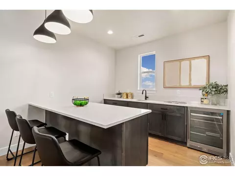 1729 Beachside Dr, Windsor, CO 80550 photo 30