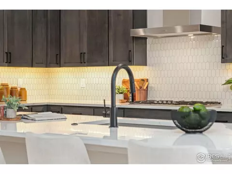 1729 Beachside Dr, Windsor, CO 80550 photo 13