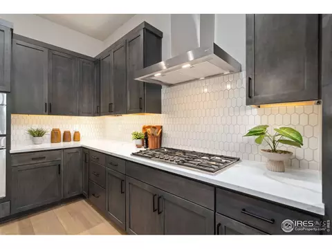 1729 Beachside Dr, Windsor, CO 80550 photo 11