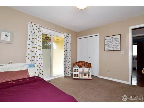 1048 Hemlock Dr, Windsor, CO 80550 photo 26