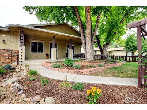 1048 Hemlock Dr, Windsor, CO 80550 photo 4