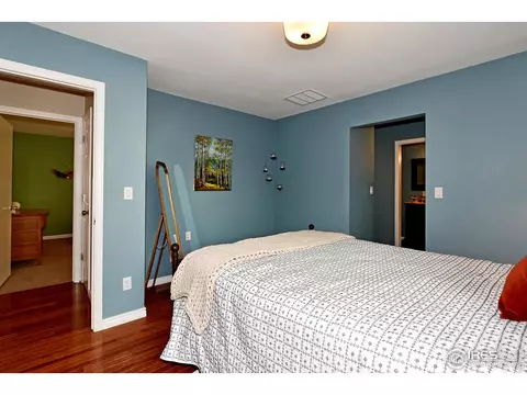 1048 Hemlock Dr, Windsor, CO 80550 photo 19